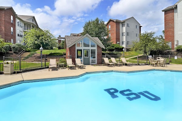 Alight State College