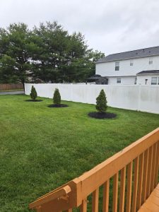 Brother & Sister Landscaping