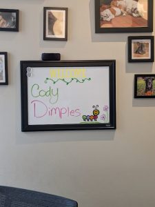 Center City Veterinary Hospital