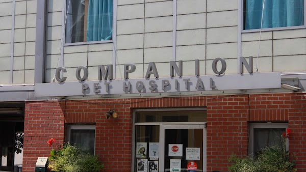 Companion Pet Hospital