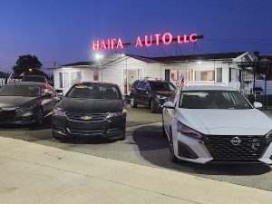 Haifa Auto LLC