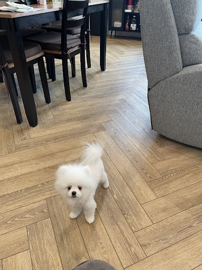 Happy Tails Pet Grooming