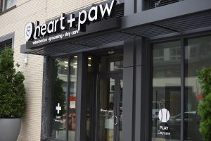 Heart + Paw