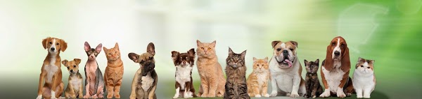 Northern Liberties Veterinary Center