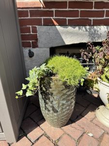 Potted Perfection, LLC.