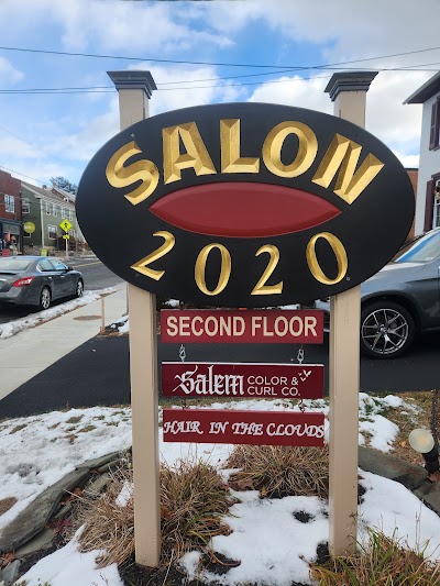 Salon 2020