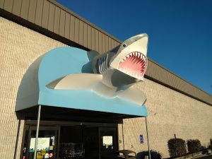 That Fish Place - That Pet Place