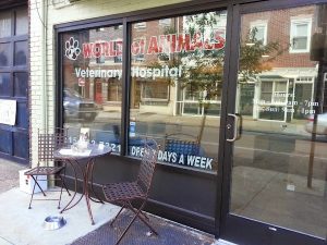 World of Animals at Rittenhouse